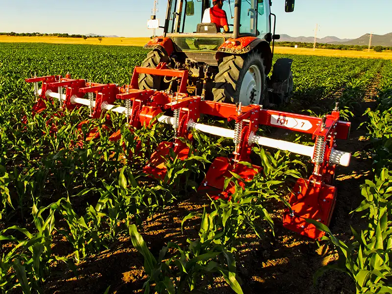 Полевые фотографии