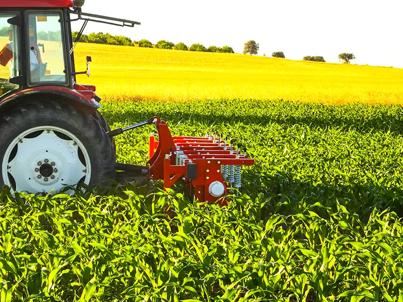 Полевые фотографии