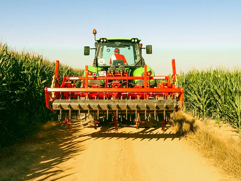 Полевые фотографии