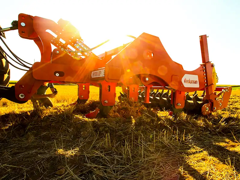 Полевые фотографии