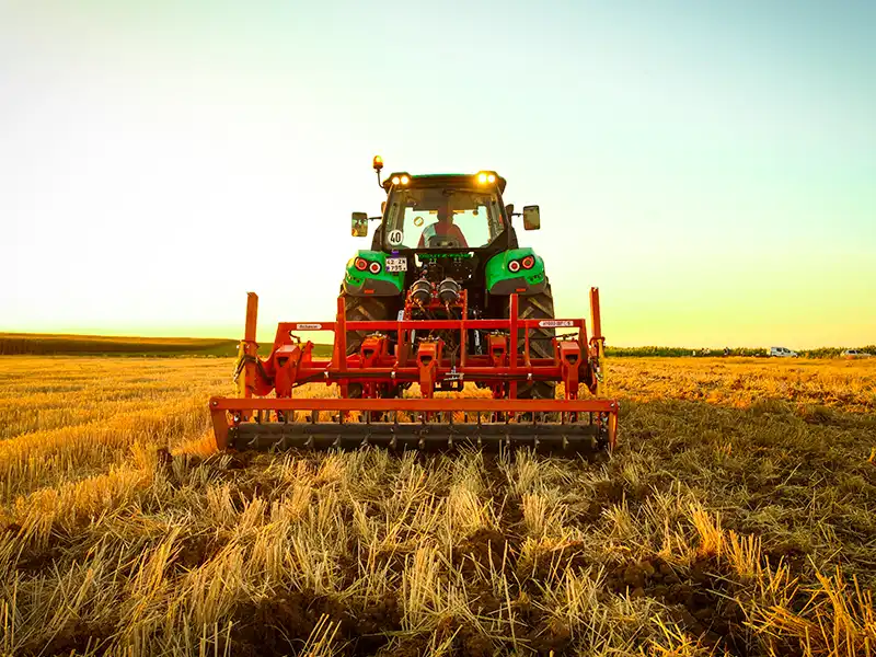 Полевые фотографии