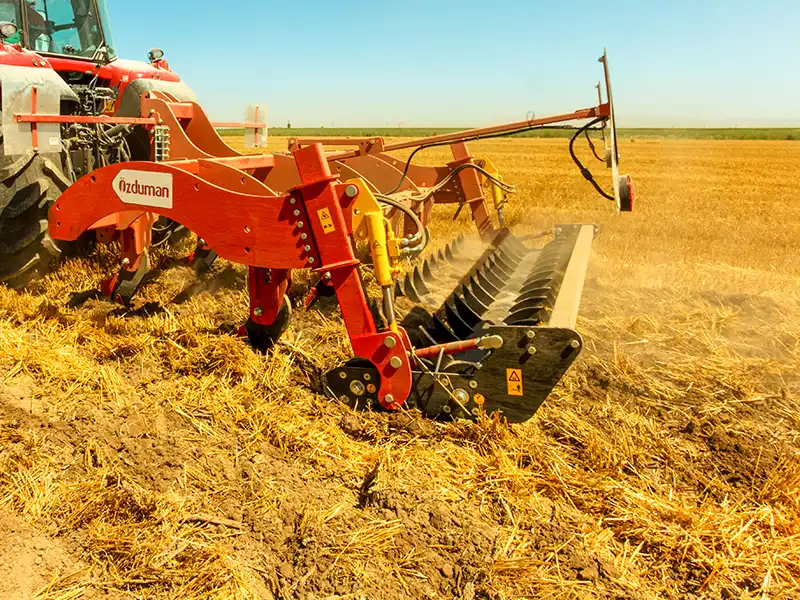 Полевые фотографии