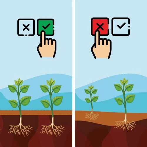 İdeal Tohum Yatağı Yapısının Oluşturulması;